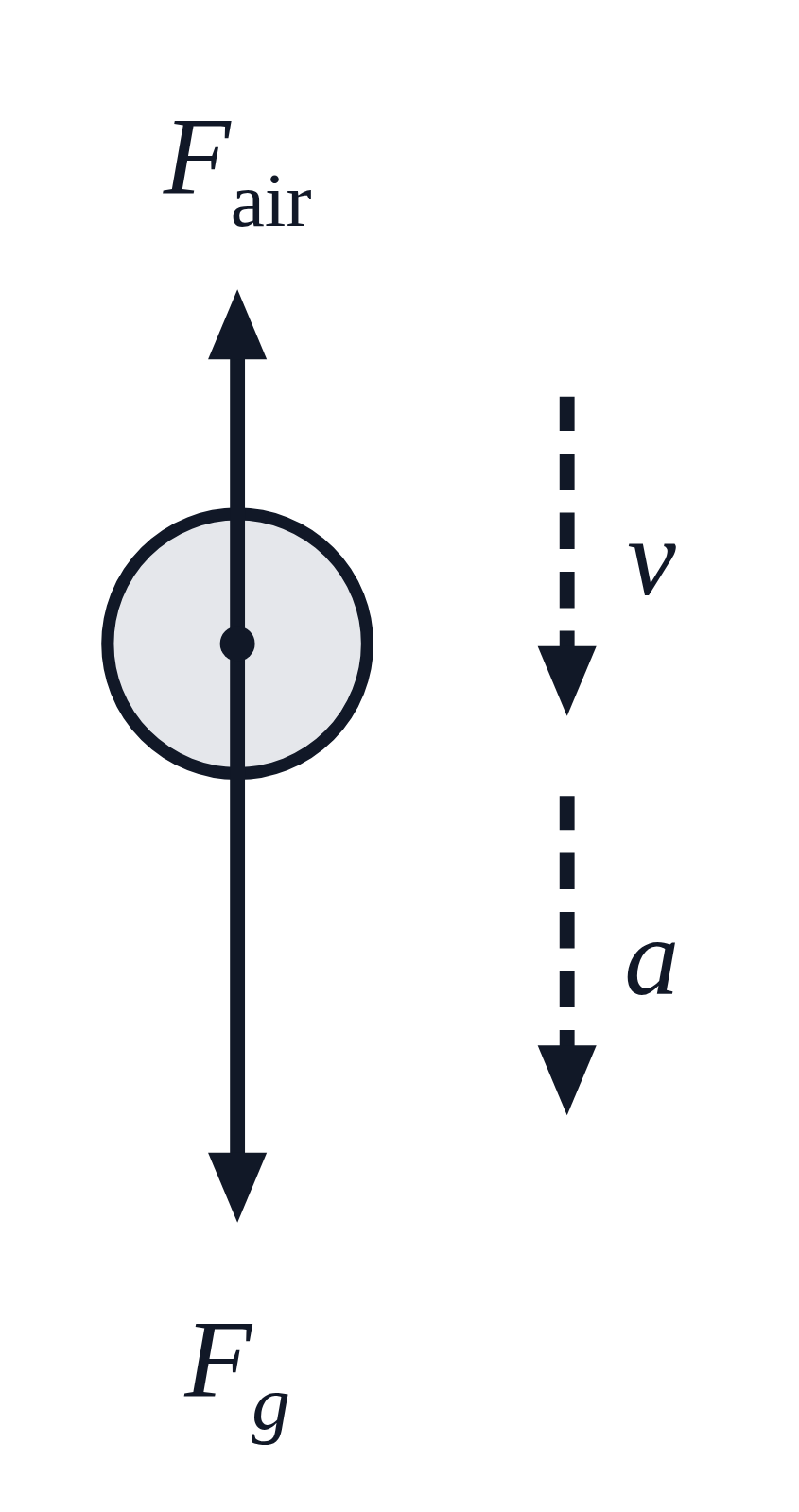 A free body diagram of a ball with a long F_g arrow down and a shorter F_air arrow up, beside dashed v and a arrows pointing down
