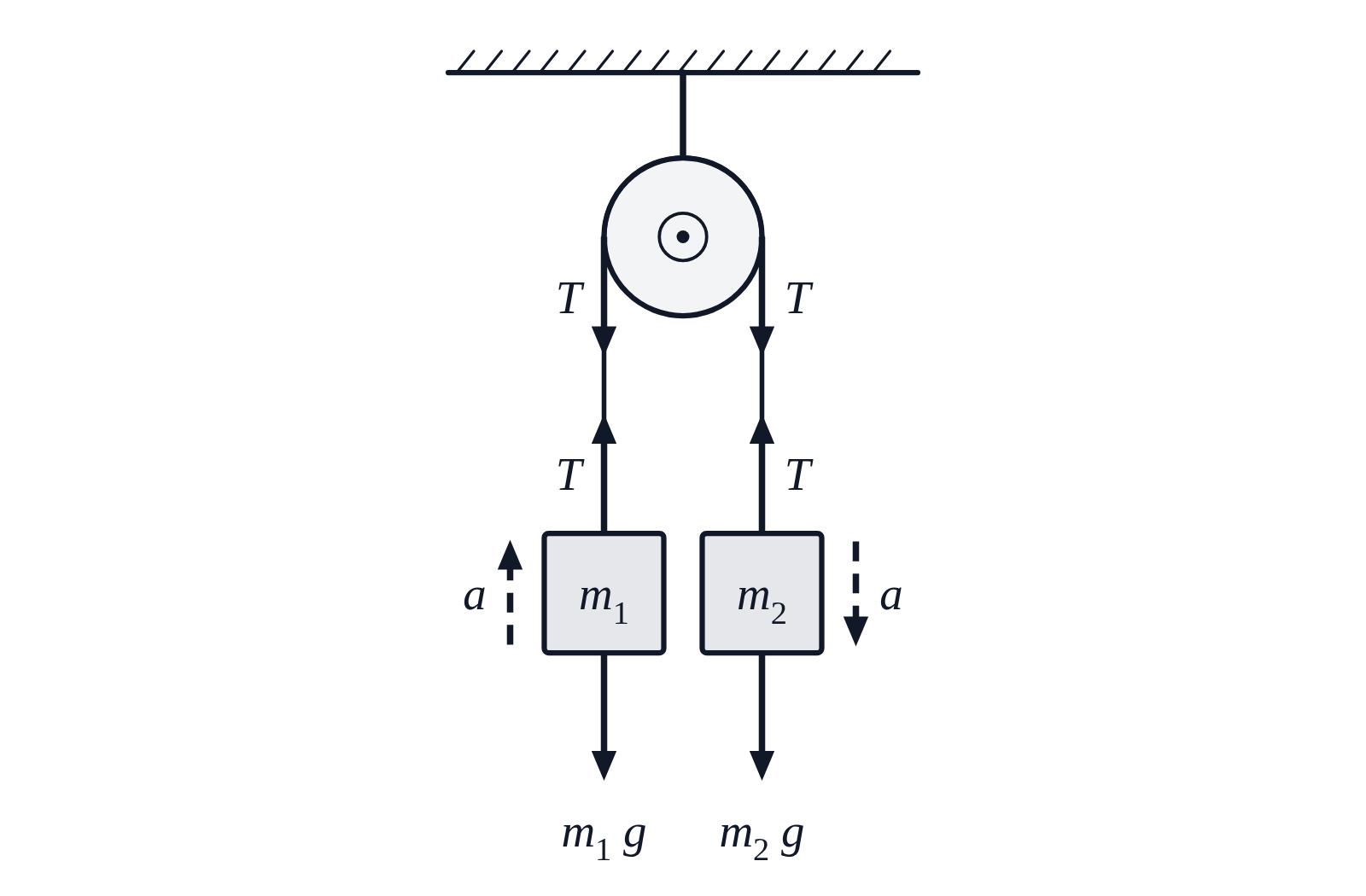 An Atwood machine: masses m_1 and m_2 hanging over one fixed pulley, with tension T up each side of the string, weights m_1 g and m_2 g down, and dashed acceleration arrows a, up on the left and down on the right